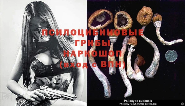 ПСИЛОЦИБИНОВЫЕ ГРИБЫ Баксан