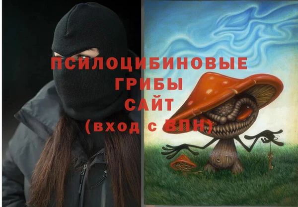 ПСИЛОЦИБИНОВЫЕ ГРИБЫ Баксан