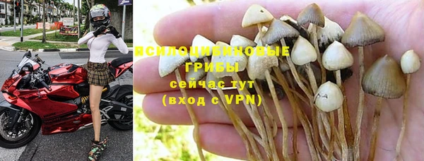 гашик Балабаново