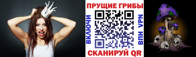 Галлюциногенные грибы GOLDEN TEACHER  Пятигорск 